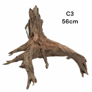 Corbo Catfish Root C3