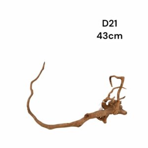 Redmoor Root D21