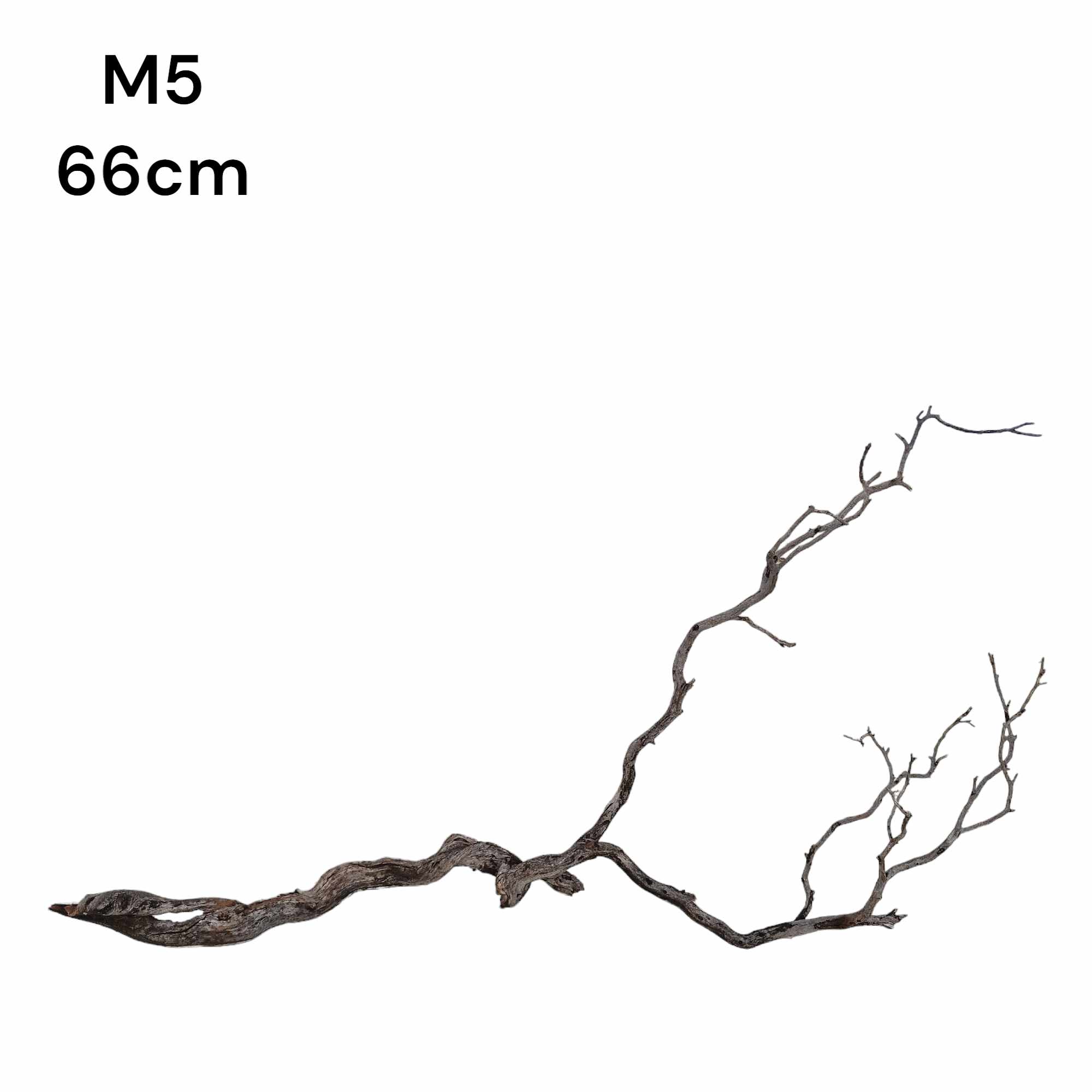 m5