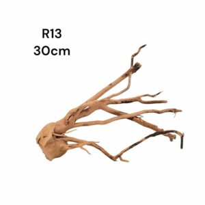 Redmoor Root R13