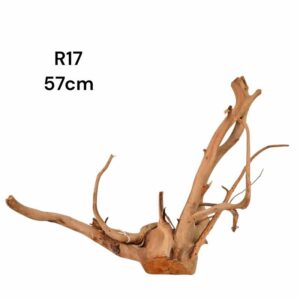 Redmoor Root R17