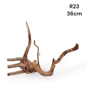 Redmoor Root R23