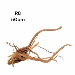 Redmoor Root R8