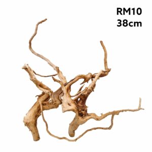 Redmoor Root