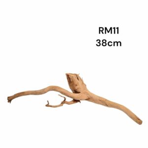 Redmoor Root RM11