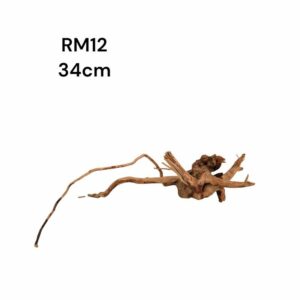 Redmoor Root RM12