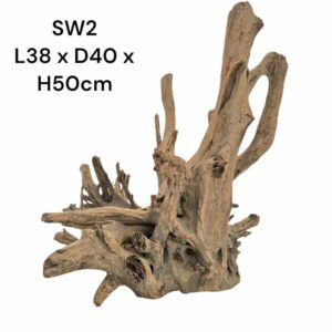 Structure Wood