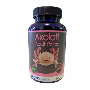 Axolotl Adult Pellet