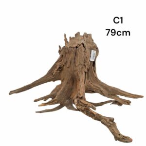 Corbo Catfish Root C1 1