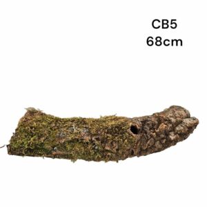 Cork Bark Tube