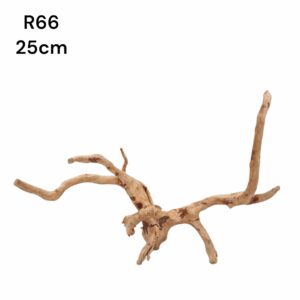 Redmoor Root