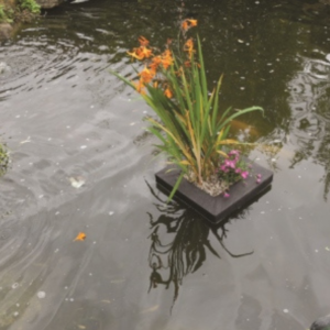 Floating Pond Planter