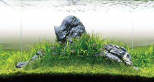 aquascaper 1500 tank