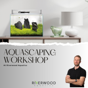 Aquascaping Workshop