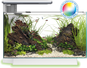 SuperFish Quadro 70 Multi Colour