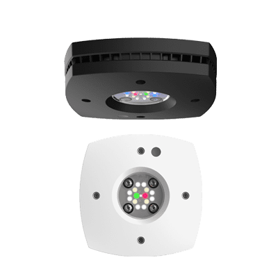 AI Prime 16 Freshwater HD LED - BLACK