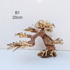 Bonsai Tree Wood B1
