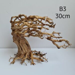 Bonsai Tree Wood B3