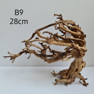 Bonsai Tree Wood B9