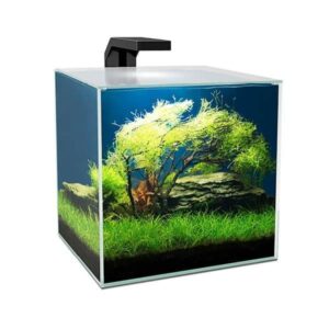 Ciano Cube 15 Aquarium Set