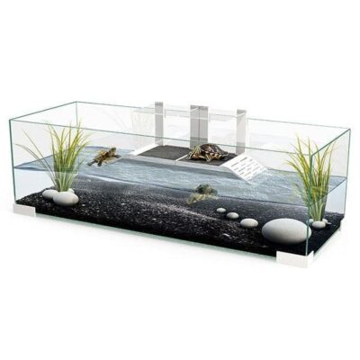 Ciano Tartarium 80 Shallow Tank