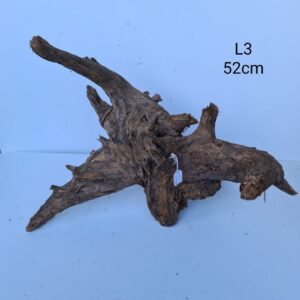 Corbo Catfish Root L3
