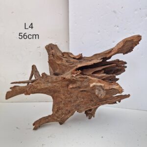 Corbo Catfish Root L4