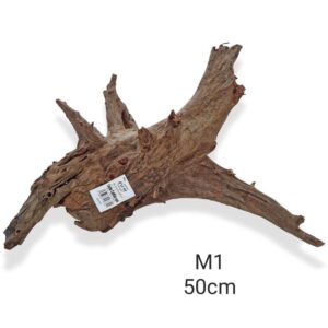 Corbo Catfish Root M1