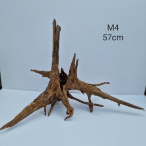 Corbo Catfish Root M4