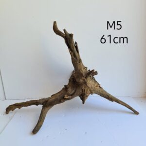 Corbo Catfish Root M5