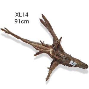 Corbo Catfish Root XL14