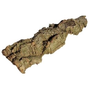 Cork Bark Plate - Per kg