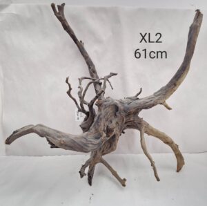 Dark Moor Root XL2