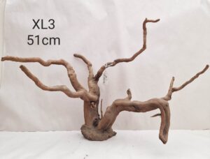 Dark Moor Root XL3