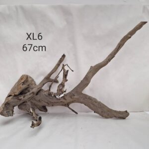 Dark Moor Root XL6