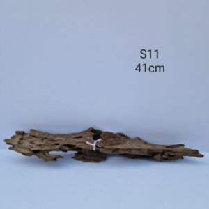 Dragon Wood S11