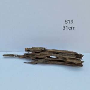 Dragon Wood S19