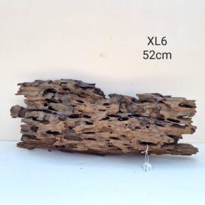 Dragon Wood XL6