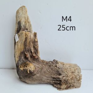 Ent Wood M4
