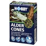 Hobby Alder Cones