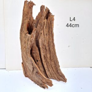 Mangrove Wood L4