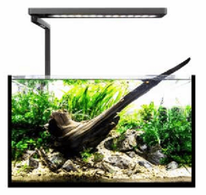 MicMol SOLO Planted LED - Silver