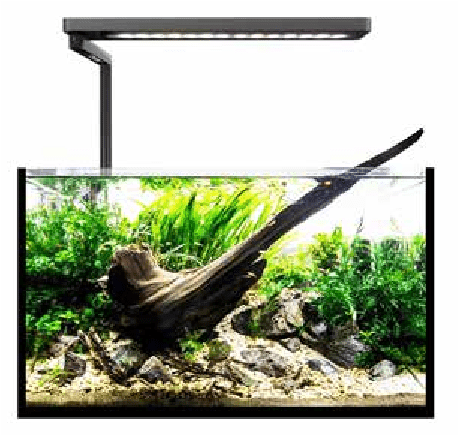MicMol SOLO Planted LED – Silver