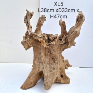 Mojo Wood XL5