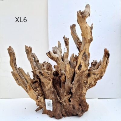 Mojo Wood XL6