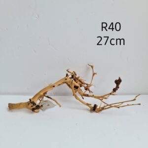 Ramous Wood R40