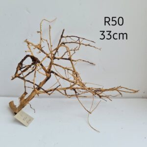 Ramous Wood R50