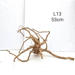 Redmoor Root L13