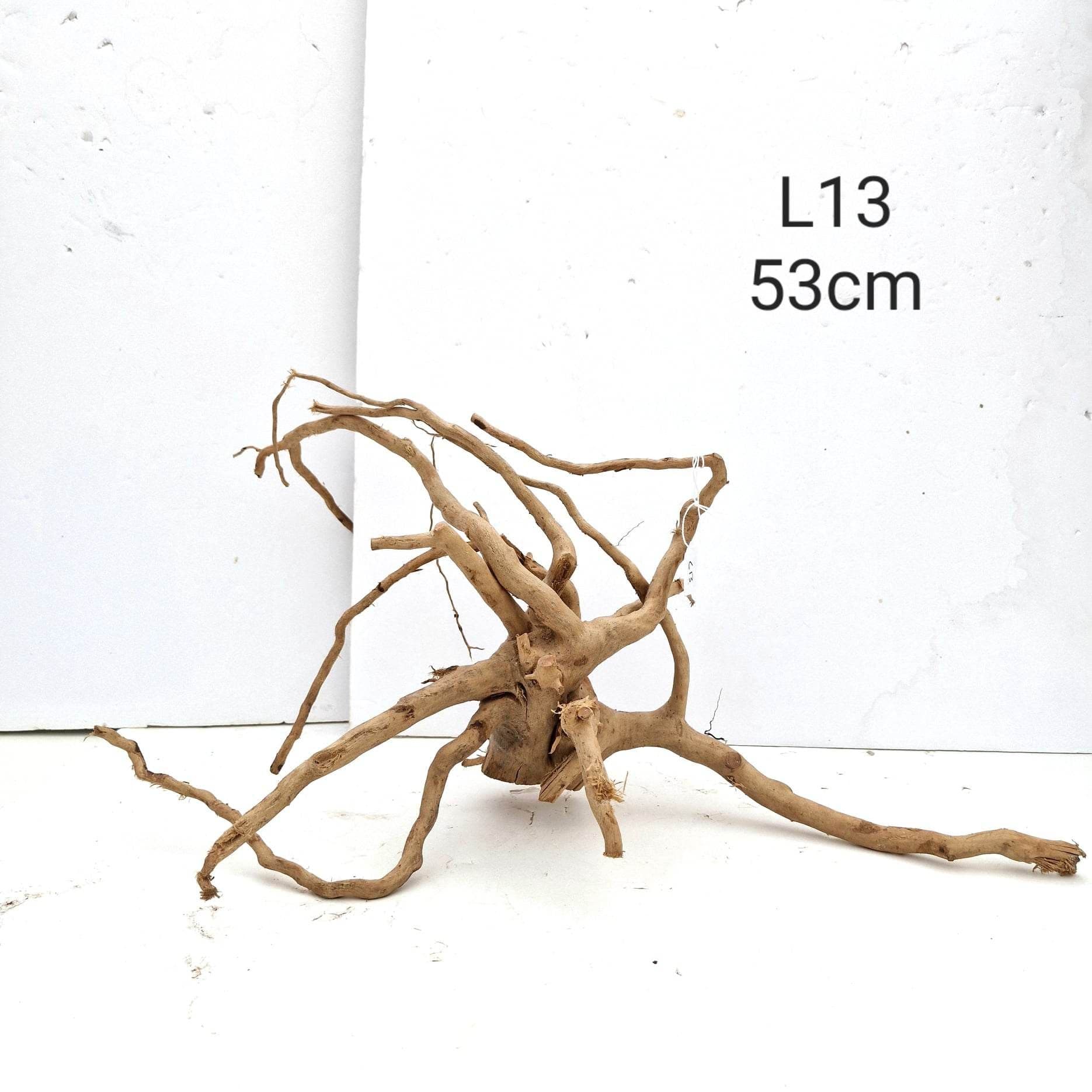 Redmoor Root L13