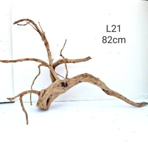 Redmoor Root L21